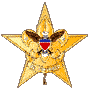 star badge